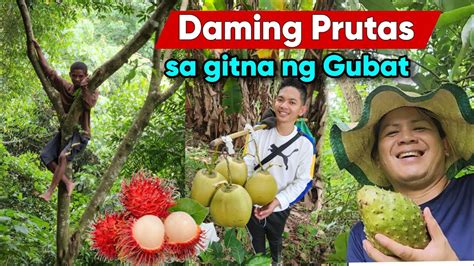 pinayflix tanya|Sustansya ng Prutas ni Tanya.